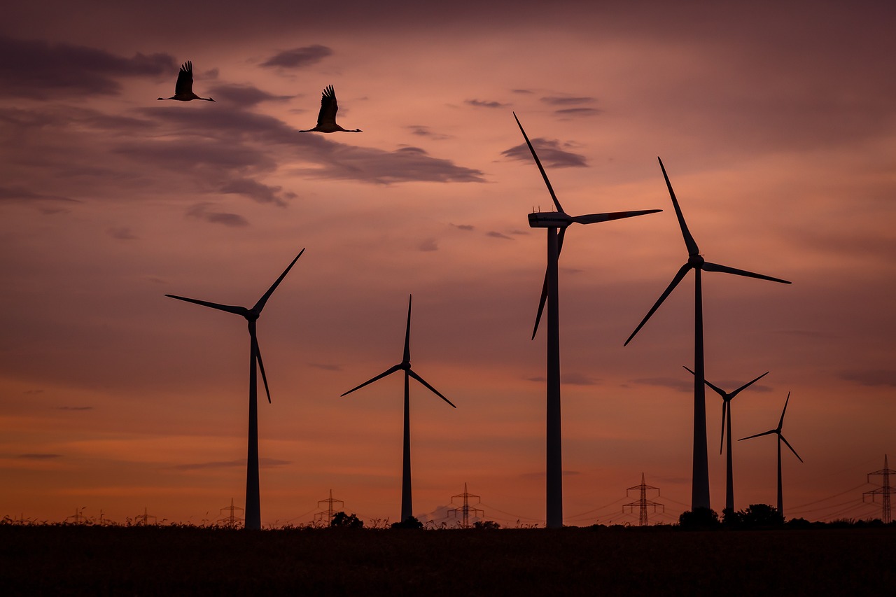 wind farm, sunset, birds-1600377.jpg